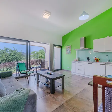 Sunny Hill-2 By Interhome Apartment