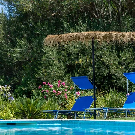 アパート Sunny Hill-2 By Interhome